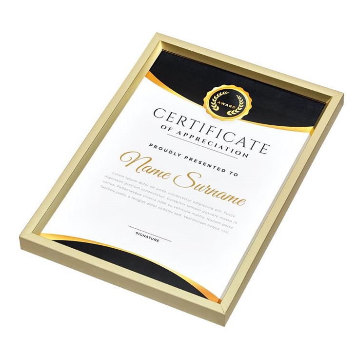 8x10 gold picture frames bulk